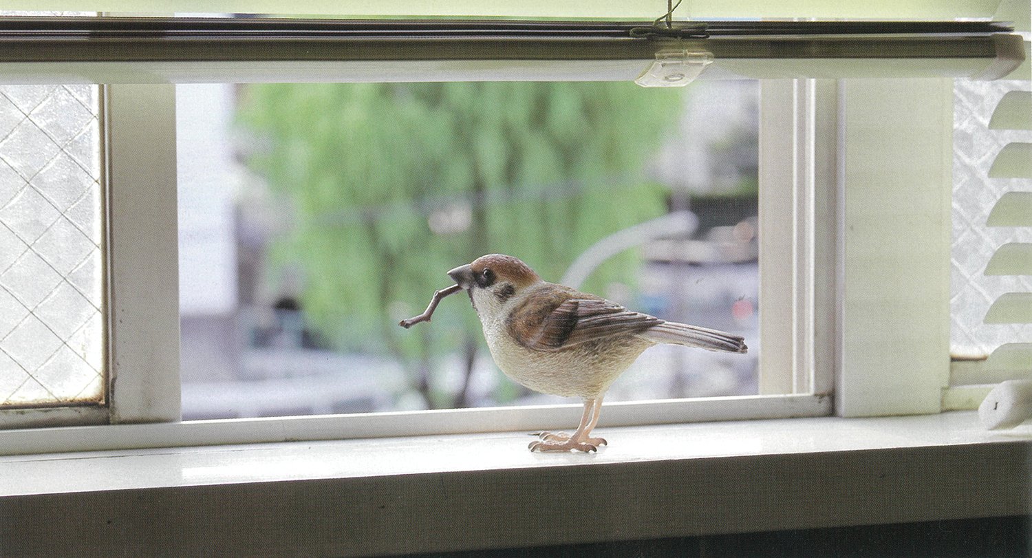 Amazon.co.jp: スズメ 雀 オブジェ BIRDIE BILL SPARROW